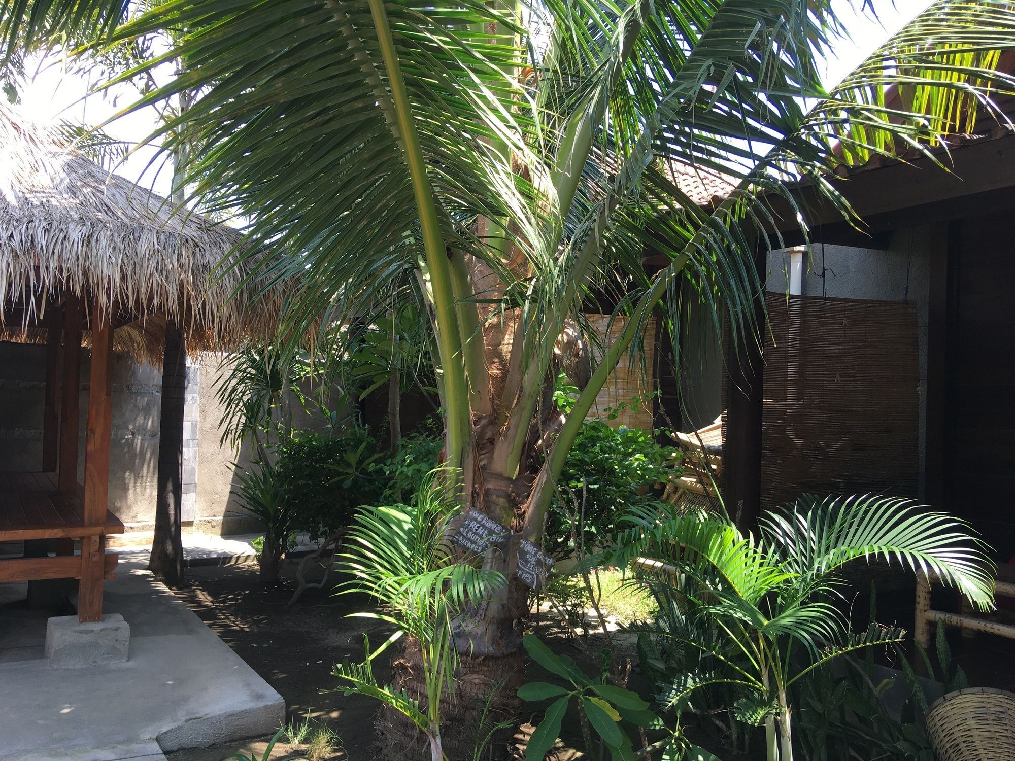 Alexyane Paradise Bungalow Джили Трауанган Екстериор снимка